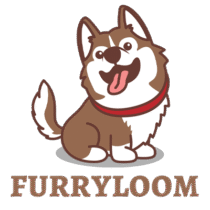 Give your puppy the best care! furryloom.store