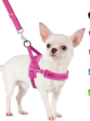No Pull Small Dog Harness and Leash Set, Puppy Soft Vest Harness Neck & Chest Adjustable, Reflective Lightweight Harness & Anti-Twist Pet Lead Combo for Small Medium Dogs (Fuchsia, XXS)