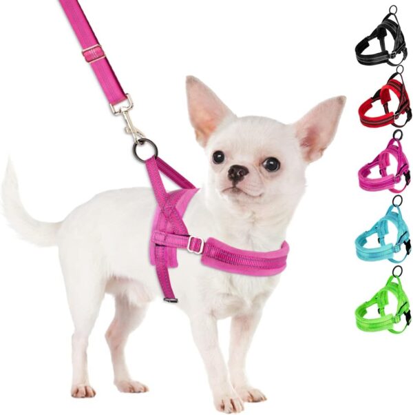 No Pull Small Dog Harness and Leash Set, Puppy Soft Vest Harness Neck & Chest Adjustable, Reflective Lightweight Harness & Anti-Twist Pet Lead Combo for Small Medium Dogs (Fuchsia, XXS)