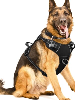Dog/Pet Harnesses No Pull with Dog Collar, Adjustable Reflective Oxford Outdoor Vest, Front/Back Leash Clips for Small, Medium, Large, Extra Large Dogs, Easy Control Handle for Walking