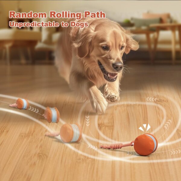 Interactive Dog Ball, Random Path Electric Automatic Moving and Rolling Dogs Toy with Rope for Small Medium Large Dogs, Motion-Activated Dog Stimulation Toy for Boredom Relief (Orange)