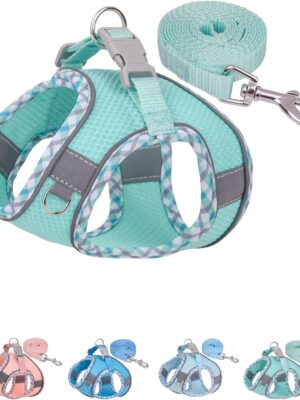 Dog Harness for Small Medium Dogs No Pull, Puppy Harness and Leash Set, Step in Dog Harness for Walking, Running, Training, Small Dog Vest(Green, S)