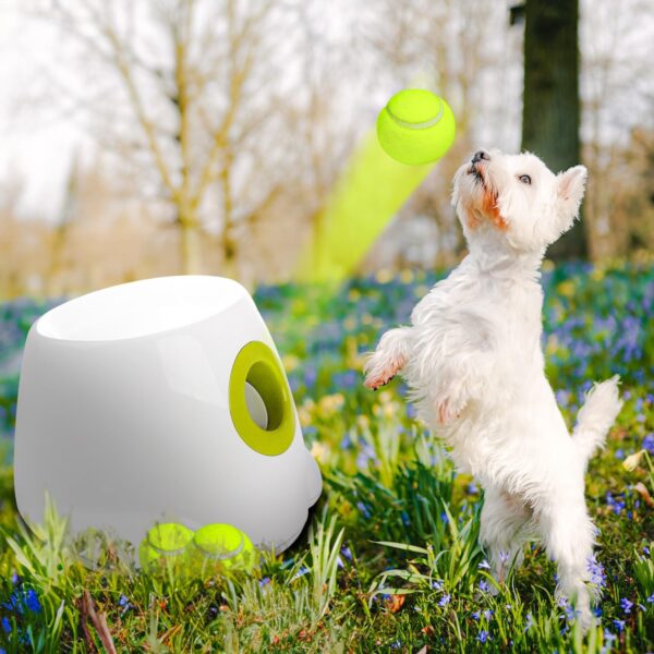 Automatic Dog Ball Launcher Automatic Ball Launcher for Dogs