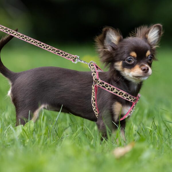 Leopard Dog Harness Collar Leash Set, Adjustable No Pull Dog Halter Harness for Small Breed Dogs, Easy Control for Training Walking (Pink, M Chest 15"-21", Neck 13"-17")