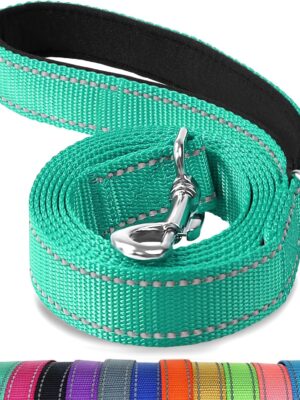Double-Sided Reflective Dog Leash, 6 FT/5 FT/4 FT, Padded Handle Nylon Heavy Duty Leashes for Medium & Large Dogs Walking, Teal, 6FT
